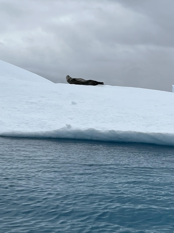 PLA25-26, Day 8, IMG_3755.jpeg © Chris Forrest - Oceanwide Expeditions.jpeg