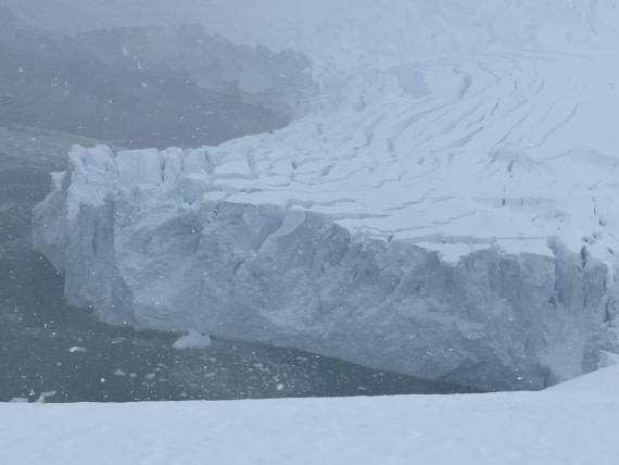 PLA25-26, Day 8, IMG_3844.jpeg © Chris Forrest - Oceanwide Expeditions.jpeg