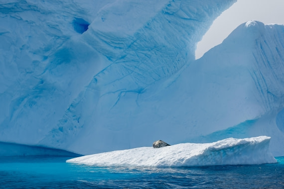 PLA25-26, Day 9, _6M33339.jpg © Juan Barenstein - Oceanwide Expeditions.jpg