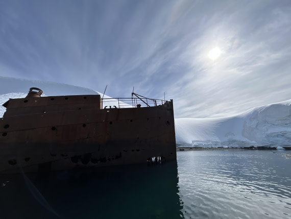 PLA25-26, Day 9, IMG_0411.jpeg © Unknown Photographer - Oceanwide Expeditions.jpeg