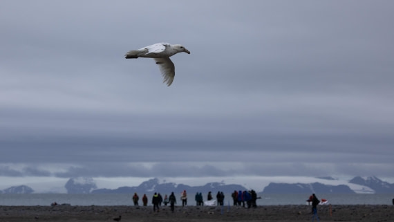 PLA25-26, Day 10, 4Q9A4929.jpg © Katlyn Taylor- Oceanwide Expeditions.jpg