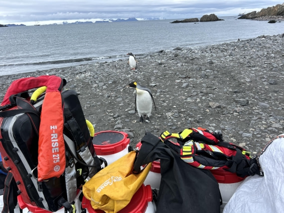 PLA25-26, Day 10, IMG_0426.jpeg © Katlyn Taylor- Oceanwide Expeditions.jpeg