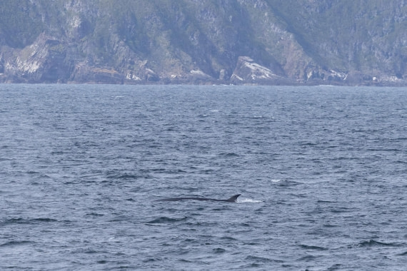 PLA25-26, Day 12, 4Q9A5409.jpg © Katlyn Taylor- Oceanwide Expeditions.jpg