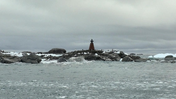 HDS25-26, Day 7, Point Wild © Unknown photographer - Oceanwide Expeditions.jpg