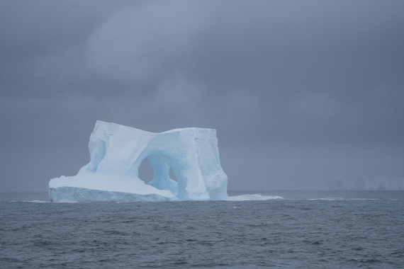 HDS25-26, Day 8, DSC06606 © Unknown photographer - Oceanwide Expeditions.JPG