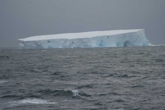 HDS25-26, Day 9, DSC06628 © Unknown photographer - Oceanwide Expeditions.JPG