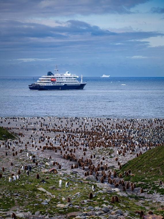HDS25-26, Day 10, RLO_6922 © Alexander Romanovskiy - Oceanwide Expeditions.jpg