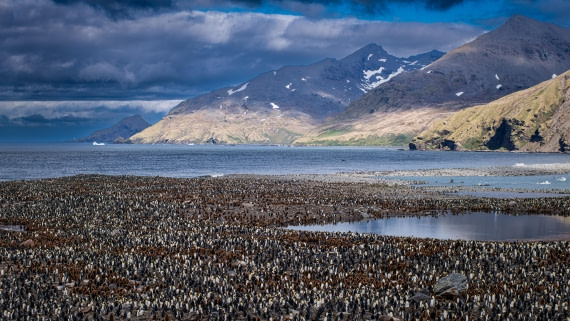HDS25-26, Day 10, RLO_6925 © Alexander Romanovskiy - Oceanwide Expeditions.jpg