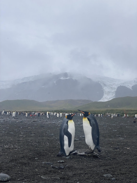 HDS25-26, Day 12, IMG_8130 © Unknown photographer - Oceanwide Expeditions.JPG