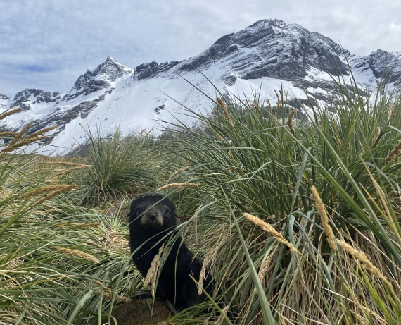 HDS25-26, Day 13, IMG_8163 © Unknown photographer - Oceanwide Expeditions.jpg