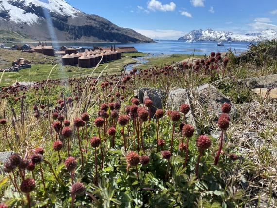 HDS25-26, Day 13, IMG_8169 © Unknown photographer - Oceanwide Expeditions.JPG
