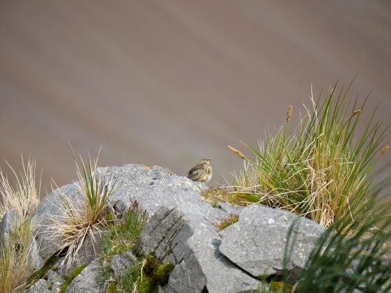 HDS25-26, Day 13, P1023204 © Unknown photographer - Oceanwide Expeditions.JPG