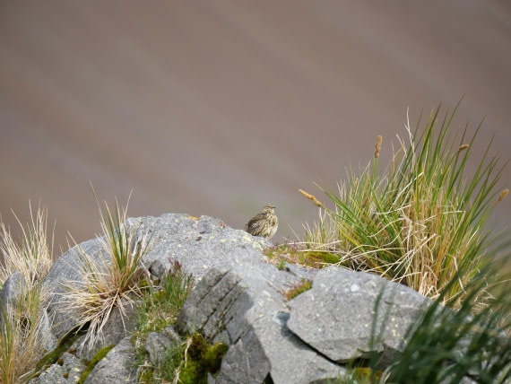 HDS25-26, Day 13, P1023205 © Unknown photographer - Oceanwide Expeditions.JPG