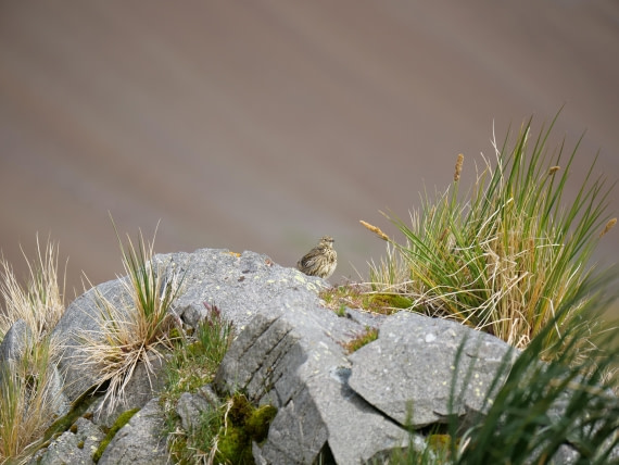 HDS25-26, Day 13, P1023207 © Unknown photographer - Oceanwide Expeditions.JPG
