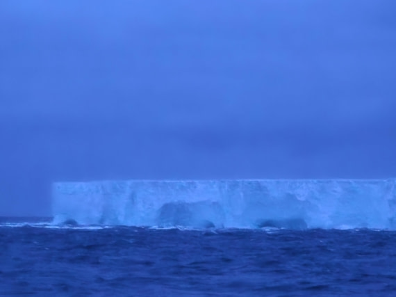 HDS25-26, Day 14, 20260103_034619 © Unknown photographer - Oceanwide Expeditions.jpg