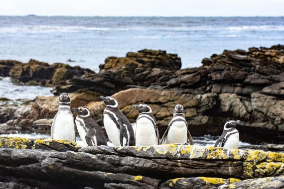 HDS25-26, Day 16, _DSC8798 © Hana Spickova - Oceanwide Expeditions.jpg