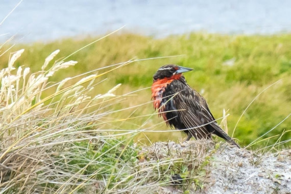 HDS25-26, Day 16, _DSC8835 © Hana Spickova - Oceanwide Expeditions.jpg