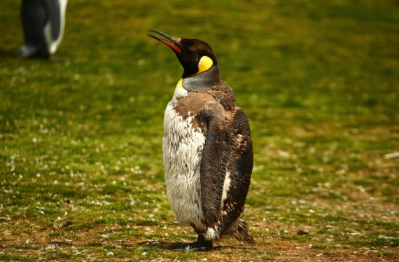 Time for new clothes