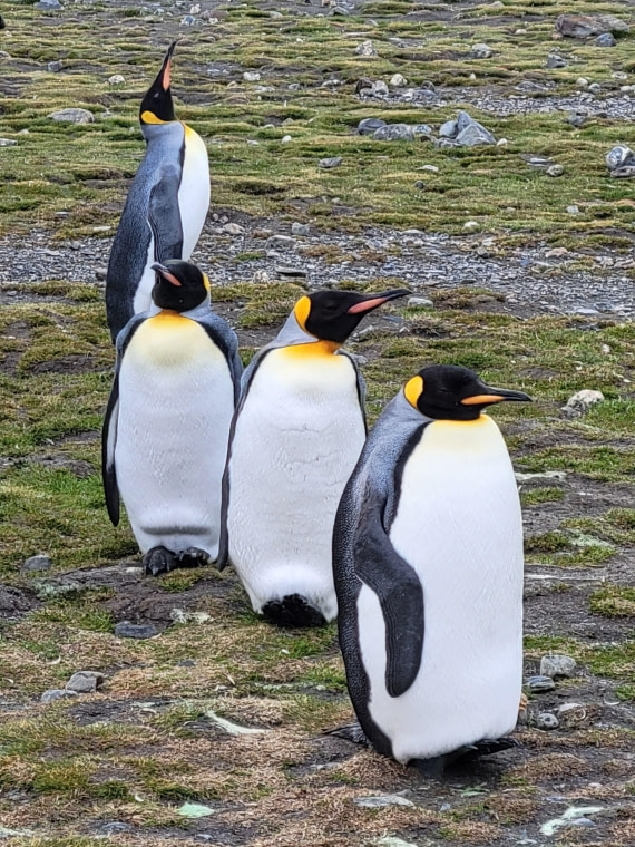 Eat Well and Sleep Well in St. Andrew Bay