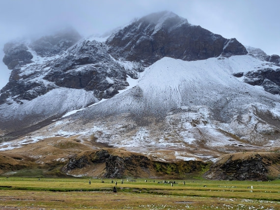 Magnificent mountain scenery at Fortune Bay