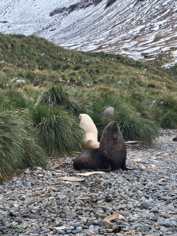 We don't talk anymore! We don't talk anymore! at Godthul