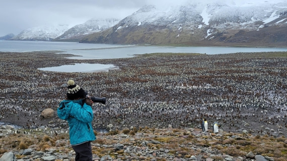 A master taking a masterpiece at St. Andrew Bay