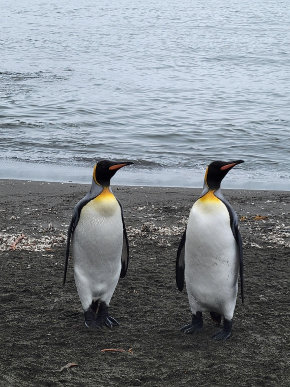 We are TWINS! at St. Andrew Bay
