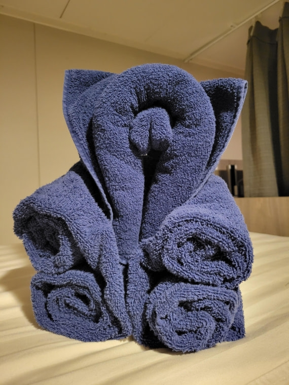 Housekeeping staff lead a demonstration session about folding towels in cute animals