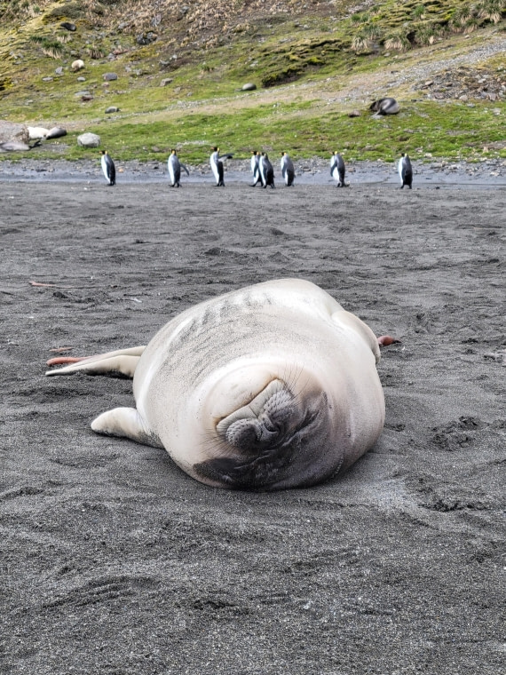 A Lazy Day at St. Andrew Bay