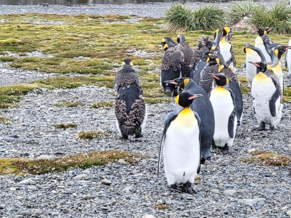Give me at "Heart" at Right Whale Bay
