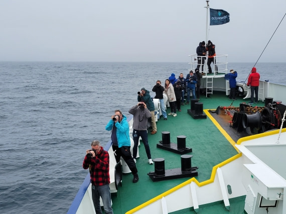 Catching photos of whales