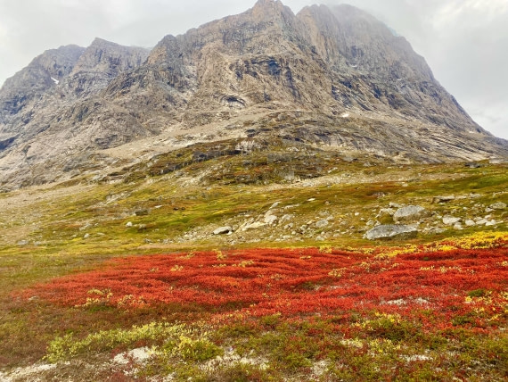 Red carpet in Greenland