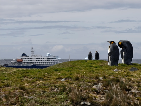 Honey, I plan a cruise with Hondius!