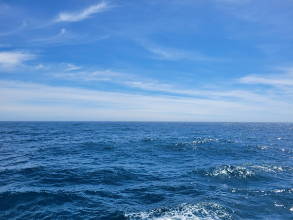 Don't trouble trouble till trouble troubles you @Plancius