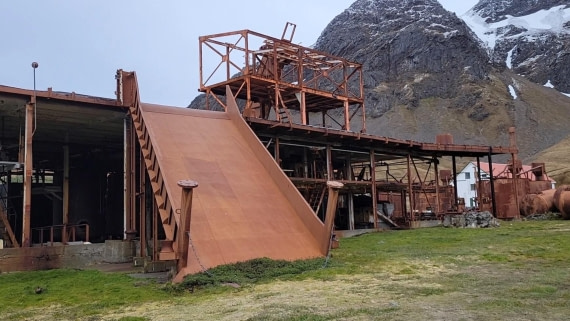 Whale Blood on Rust Color @Grytviken
