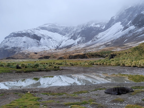 Make peace with the mirror and watch your reflection change. It is called natural beauty! @Fortuna Bay