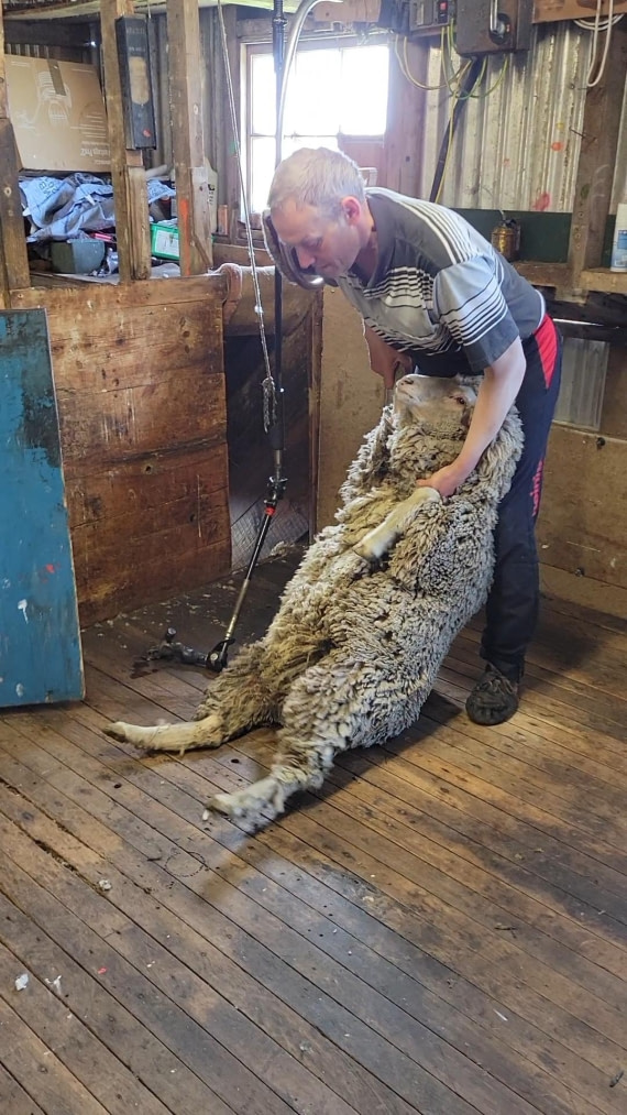 Don't move, i am helping you reduce 3kg from weight.  @ George Island