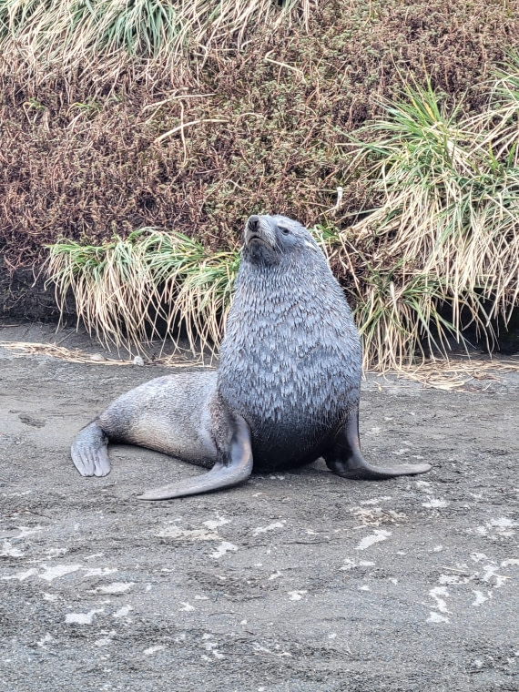 Sorry, you are a loser.... pls don't pretend like a winner, haha