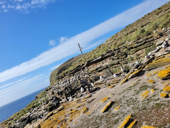 You deserve Freedom & Happiness @ New Island