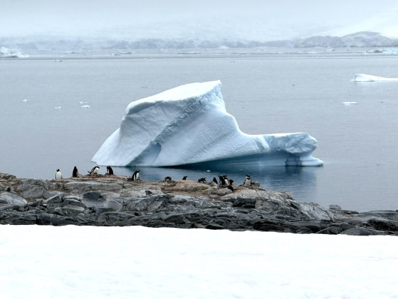 HDS26-26, Day 4, IMG_1686 (7) © Hana Spickova - Oceanwide Expeditions.jpg