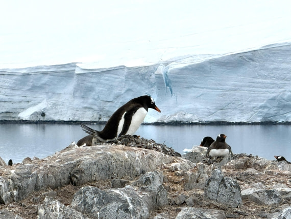 HDS26-26, Day 4, IMG_1686 (8) © Hana Spickova - Oceanwide Expeditions.jpg