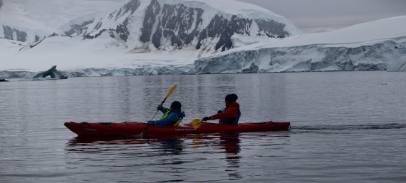 HDS26-26, Day 4, IMG_20260111_095112 © Unknown photographer - Oceanwide Expeditions.jpg