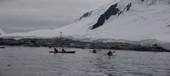 HDS26-26, Day 4, IMG_20260111_100228 © Unknown photographer - Oceanwide Expeditions.jpg