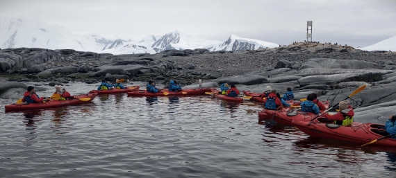 HDS26-26, Day 4, IMG_20260111_100650 © Unknown photographer - Oceanwide Expeditions.jpg