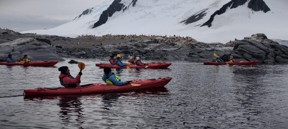 HDS26-26, Day 4, IMG_20260111_100952 © Unknown photographer - Oceanwide Expeditions.jpg