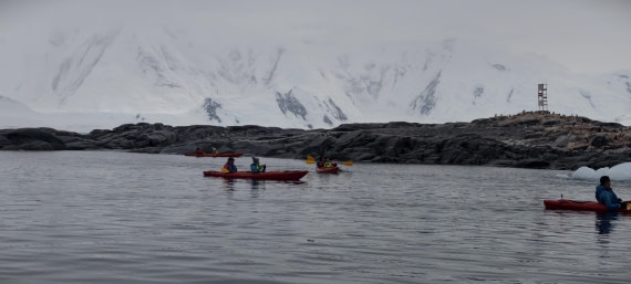 HDS26-26, Day 4, IMG_20260111_101125 © Unknown photographer - Oceanwide Expeditions.jpg