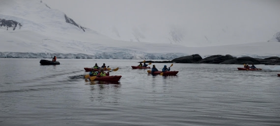 HDS26-26, Day 4, IMG_20260111_101148 © Unknown photographer - Oceanwide Expeditions.jpg