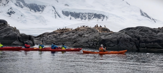 HDS26-26, Day 4, IMG_20260111_101253 © Unknown photographer - Oceanwide Expeditions.jpg