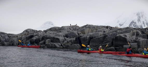 HDS26-26, Day 4, IMG_20260111_101524 © Unknown photographer - Oceanwide Expeditions.jpg