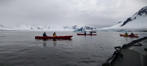 HDS26-26, Day 4, IMG_20260111_101654 © Unknown photographer - Oceanwide Expeditions.jpg